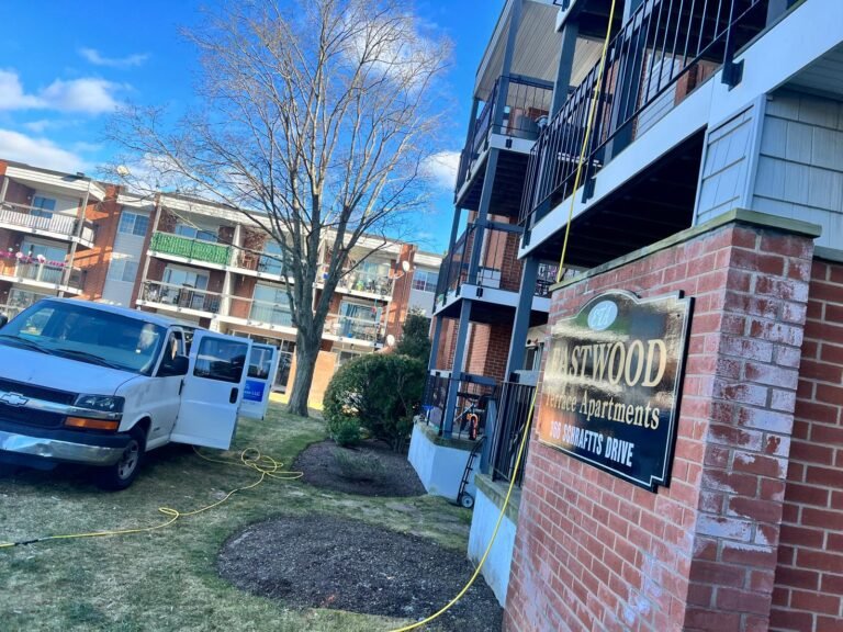 WhatsApp Image 2026-03-13 at 2.42