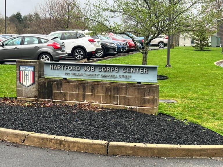 WhatsApp Image 2026-03-13 at 2.42